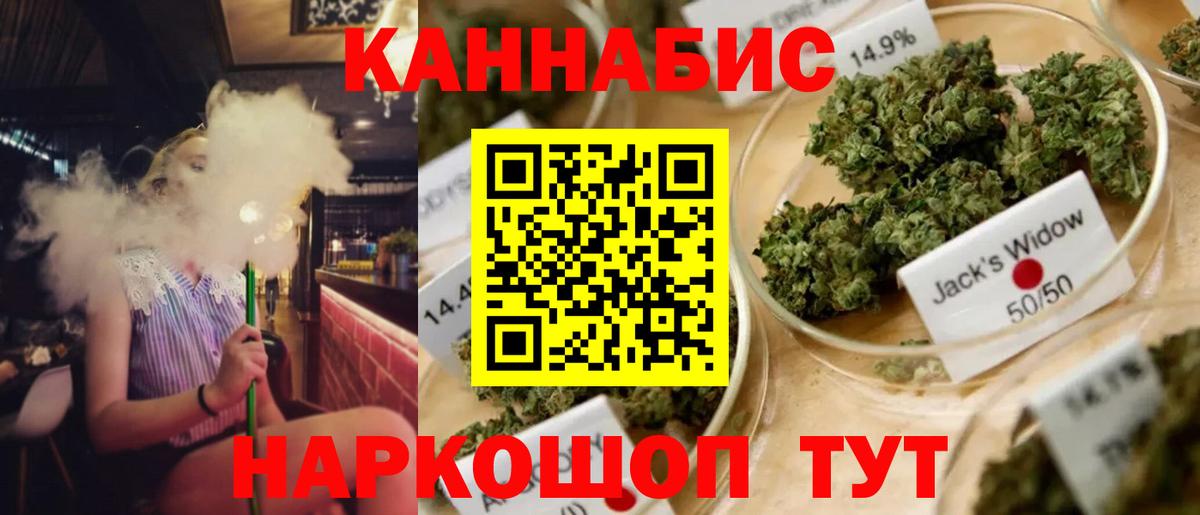 Шишки марихуана OG Kush Ликино-Дулёво